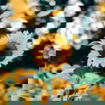 Restu Al profile icon