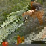 Puji Lovegoz profile icon