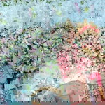 Allan Susanto profile icon