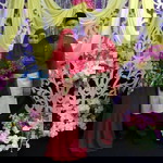 Nora Arararra profile icon