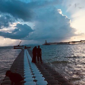 Anis Sambreena profile icon