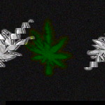 แสง 'ดาว profile icon