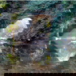 Sha-am Tee profile icon