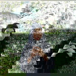 นูรซาร่า ปาทาน profile icon