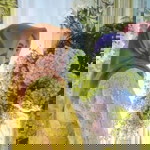 Devyana Kartika profile icon