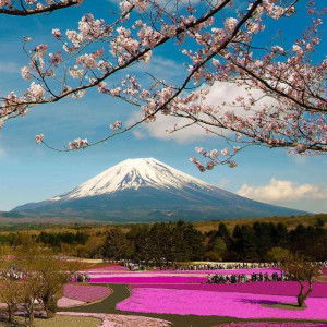 Momma ANS profile icon