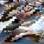 Ploipairin Luntha profile icon