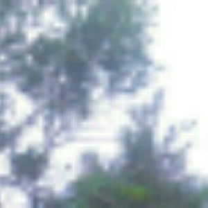 Silvi Restina profile icon