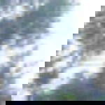 Silvi Restina profile icon