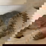 Jiruntanin Theprenu profile icon