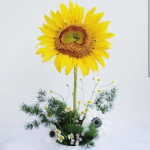 Nadya Fatika profile icon