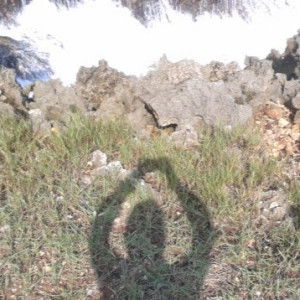 Thira Zahra profile icon