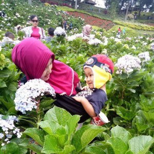 Choried profile icon