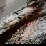 Itha Tata profile icon