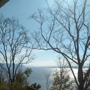 Janchay Saradee profile icon