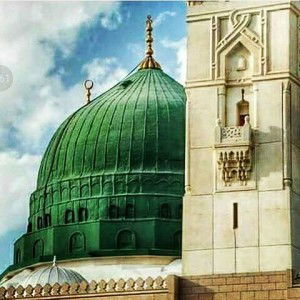 Vitri Syarief Alhamid profile icon