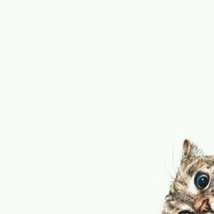 manusia halu profile icon