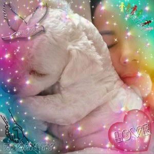 ดอลลาร์ ลอน ดอล profile icon