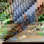 Nattida Wetchakit profile icon