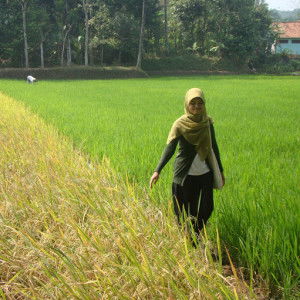 Artika Soleha profile icon