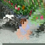 เสาวลักษณ์ มาที profile icon