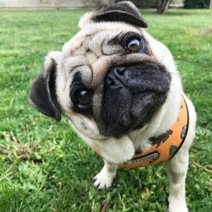 อยู่แล้วทุกข์ ก่อแค่เดินออกมา profile icon