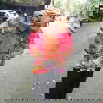 ฮายาตี สะอิ profile icon