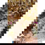 Vety Imaliah profile icon
