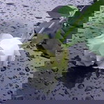 Fitri Setyawan profile icon