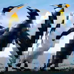 kanyarat tawait profile icon