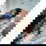 เปรมฤทัย ศิริ profile icon