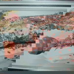 Eva Vana profile icon