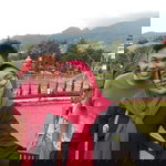 Tharie Drachman profile icon