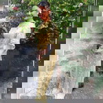 อมิตา ไพบูลย์ profile icon