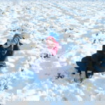 Amanda Pricella profile icon