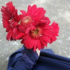 renny anggraini profile icon