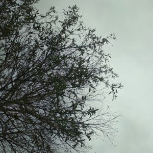 Rita Rahayu profile icon