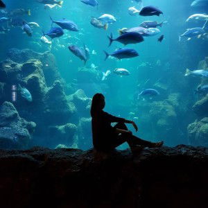 Lerissa Natalia profile icon