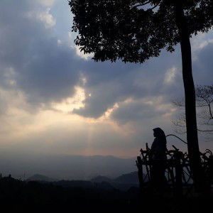 Daryani profile icon