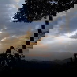 Daryani profile icon
