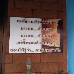 noy davan profile icon