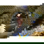 Meliana Kumala Dewi profile icon