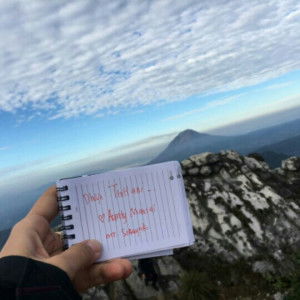 Emiey Gringer profile icon