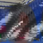 Suci Kamana profile icon