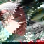 Lita _aza profile icon