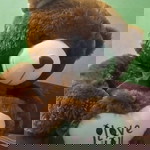 Siti Novianti profile icon