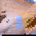 Tanawoot Mathurapoj profile icon