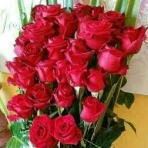 Luvi Hardiyanti profile icon