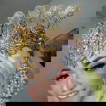 Intan Permatasari profile icon