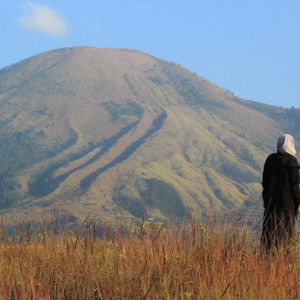 Silviani Indah Purnamasari profile icon